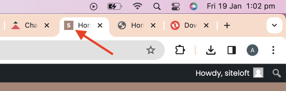 Screen Shot 2024-01-19 at 1.02.36 pm.png